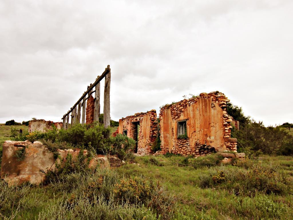 Hlosi Game Lodge - Amakhala Game Reserve Buyskloof Exteriör bild