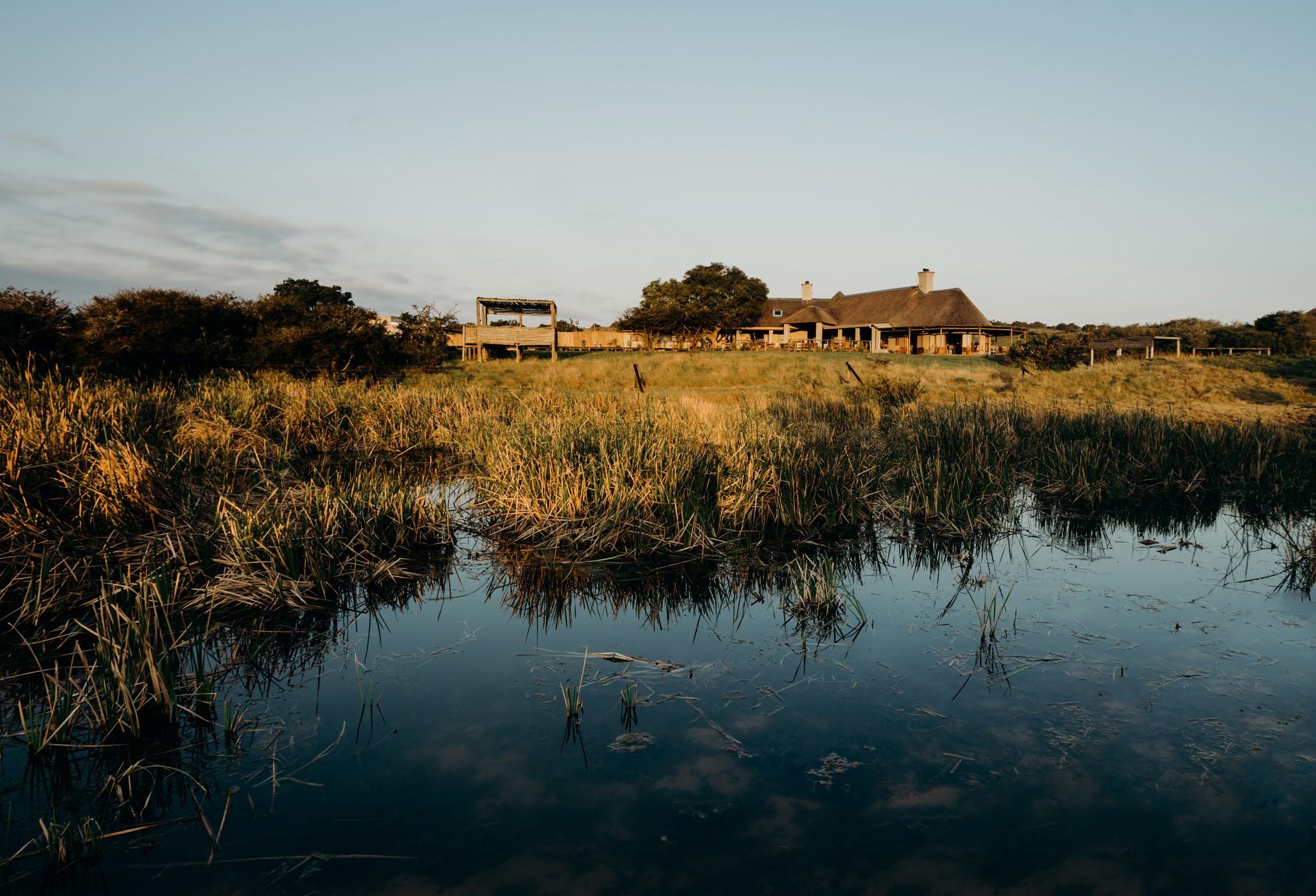 Hlosi Game Lodge - Amakhala Game Reserve Buyskloof Exteriör bild