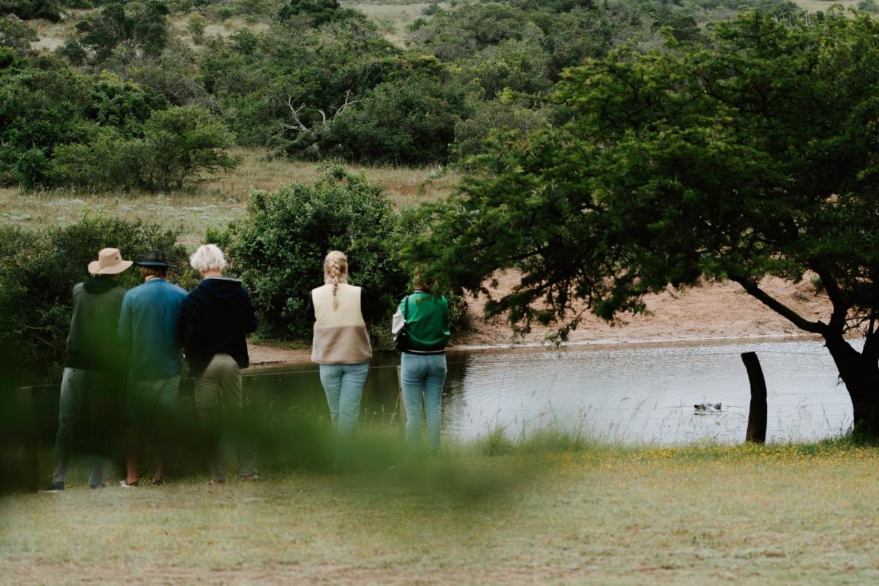 Hlosi Game Lodge - Amakhala Game Reserve Buyskloof Exteriör bild